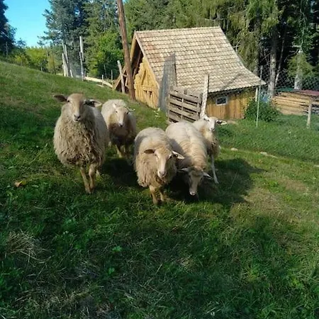 L'estive, A La Ferme En Montagne Holiday home Eschbach-au-Val