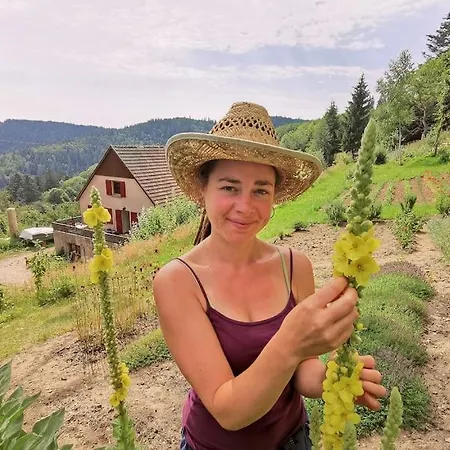 L'estive, A La Ferme En Montagne Holiday home