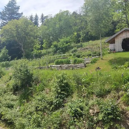 L'estive, à La Ferme En Montagne *